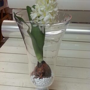 Hyacint vit Konstväxt Höjd ca 28 cm