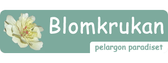 logo-blomkrukan-ny3