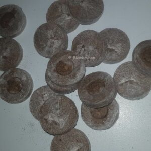 Torvbriketter för rotning av sticklingar el frö  – 100st per förpackning
