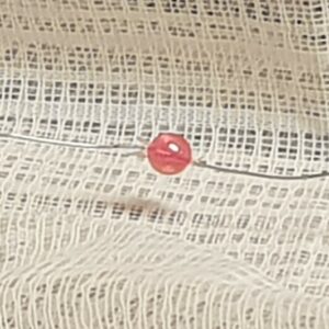 BAND – pärlband med Rosa pärlor  5mm – ca 2,8 mellan pärlorna – 30 cm bitar