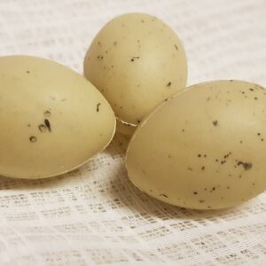 Ägg naturtrogna i plast 3 st ägg